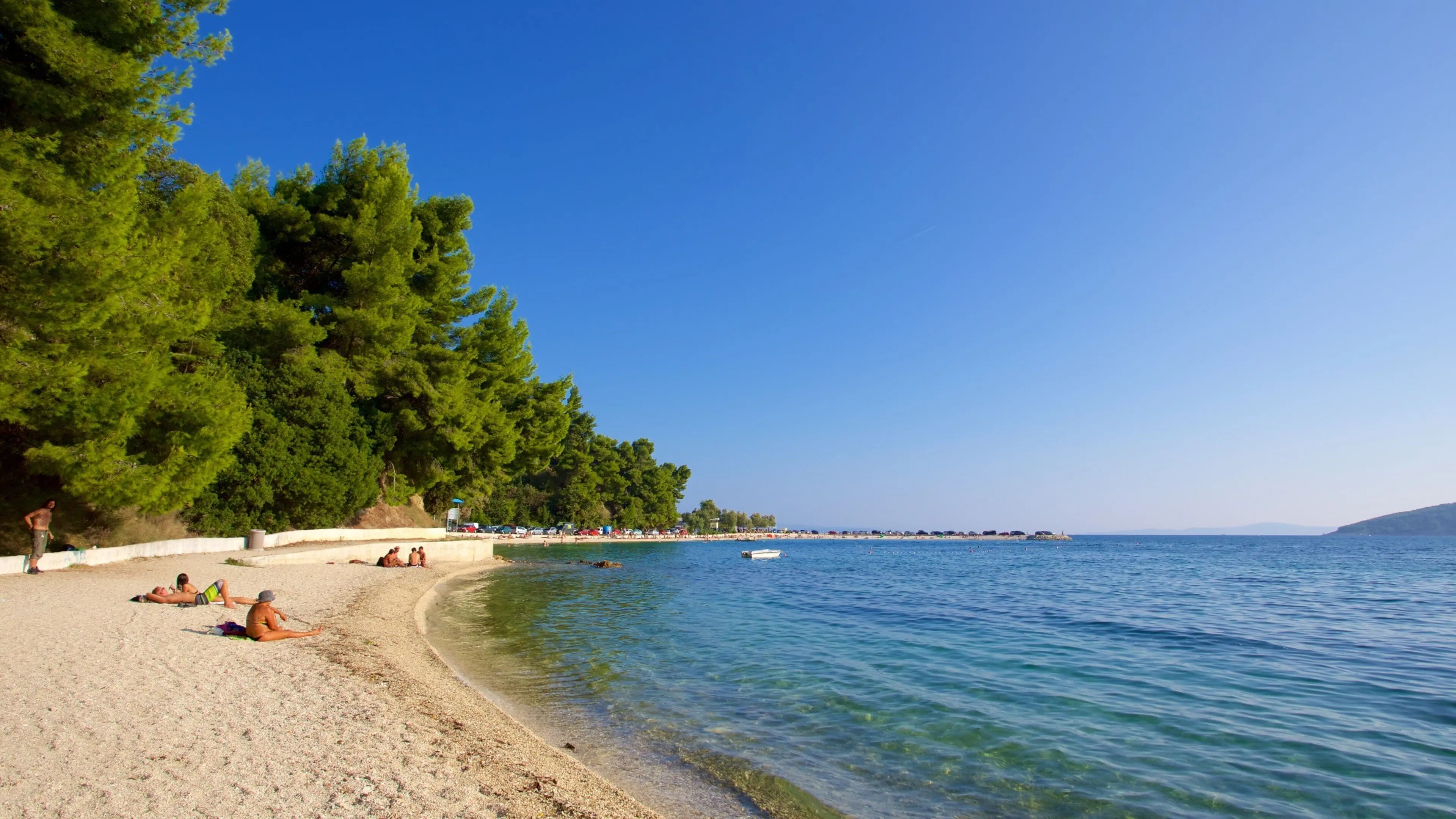 Pebble cove backed by pine trees with turquoise water